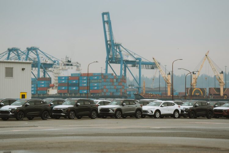 pexels bylukemiller 29566901