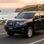 Prado e1788254817435